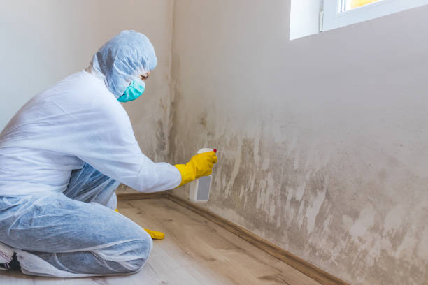 Licensed Mold Testing service in Portland, TN - WQB Mold Removal