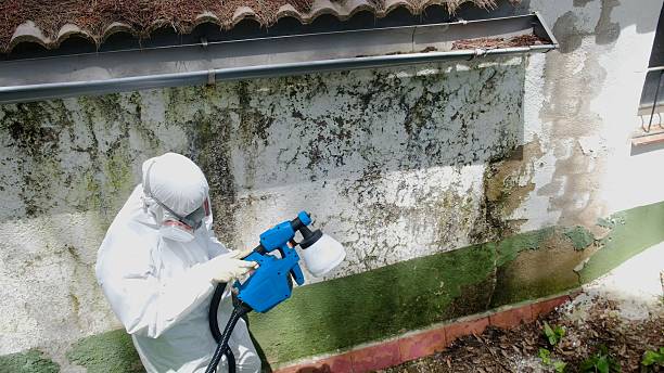 Top rated local Mold Testing specialists in Portland, TN